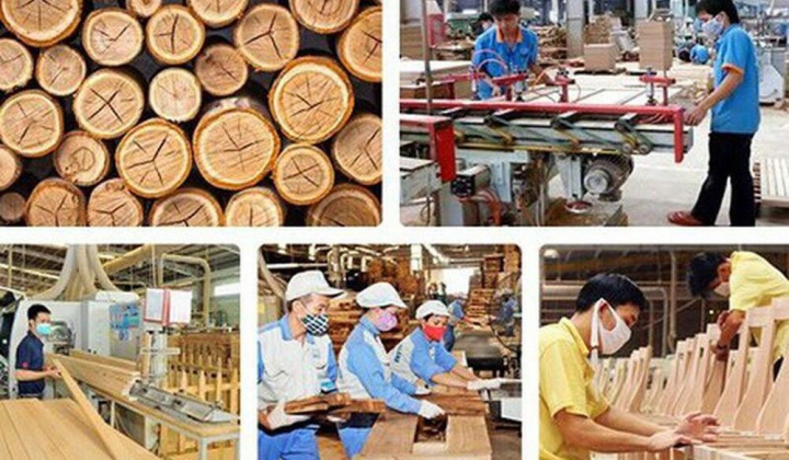 Từng bước vực dậy ngành xuất khẩu gỗ