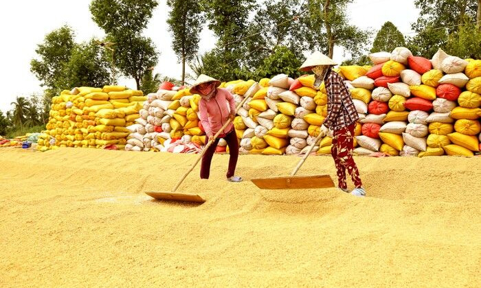 Nếu không đẩy mạnh xuất khẩu thì sẽ dẫn đến tình trạng các mùa vụ chồng chéo nhau