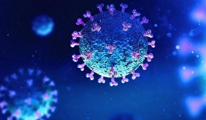 nCoV vẫn có thể sống sót ở 60 độ C