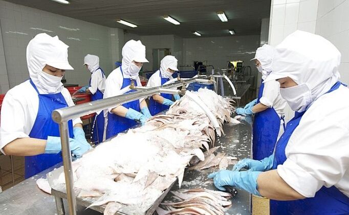 Covid-19: Chưa có tín hiệu khả quan khi xuất khẩu sang thị trường Mỹ và EU