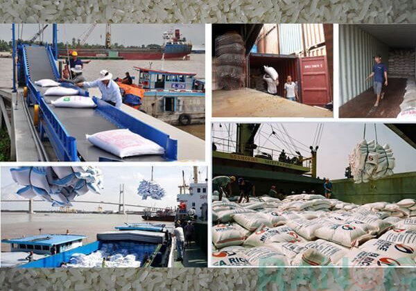 Tổng cục Hải quan tạo điều kiện tối đa trong kiểm tra gạo xuất khẩu