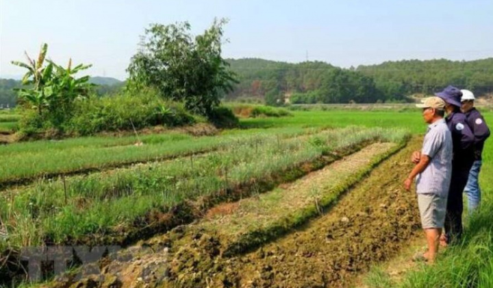 Nhiều diện tích canh tác ở Trung bộ sẽ không đủ nguồn nước tưới