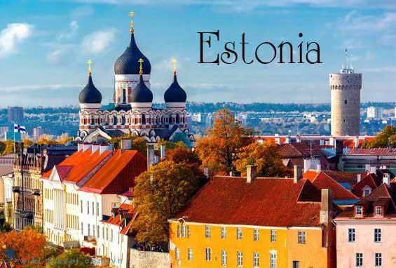 Việt Nam -  Estonia trao đổi hợp tác phòng chống Covid-19