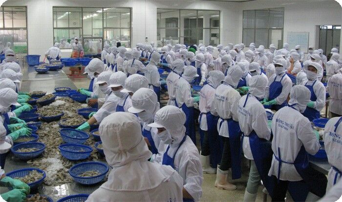 Ổn định tâm lý cho người dân nuôi tôm xuất khẩu trong mùa dịch