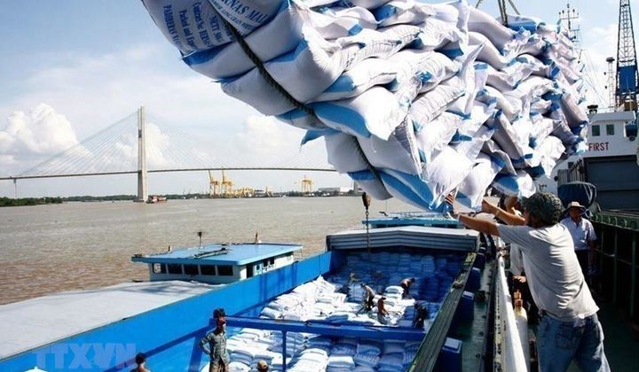 Doanh nghiệp nhanh tay nắm bắt cơ hội đấu thầu nhập khẩu gạo Hàn Quốc