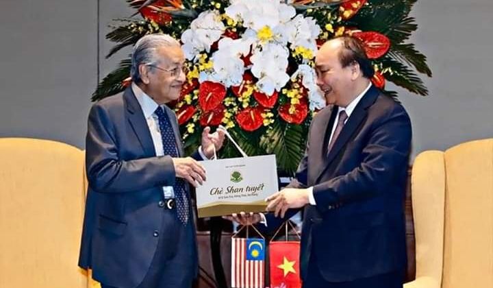 Chè Shan tuyến Hồng Thái: Đặc sản Na Hang, Tuyên Quang