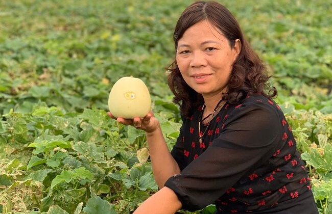 Nữ doanh nhân đi lên từ đồng ruộng