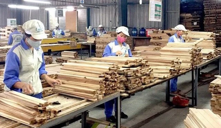 Doanh nghiệp gỗ: Cần những giải pháp tối ưu để phục hồi