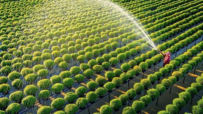 Để thị trường bất động sản nông nghiệp của Việt Nam phát triển bền vững