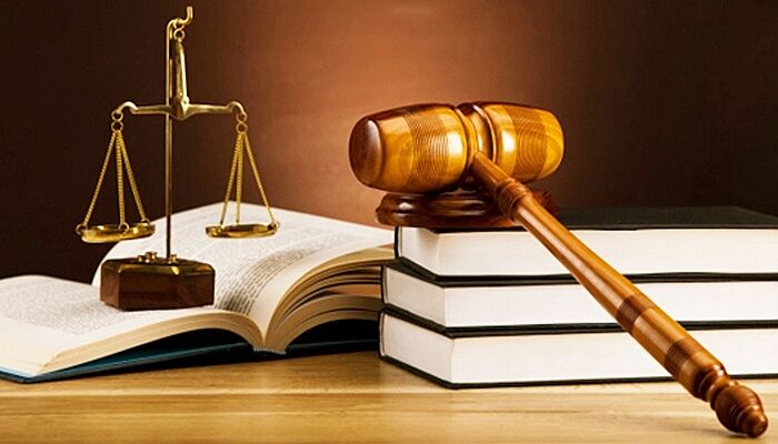 11 văn bản QPPL được ban hành trong tháng 5/2020
