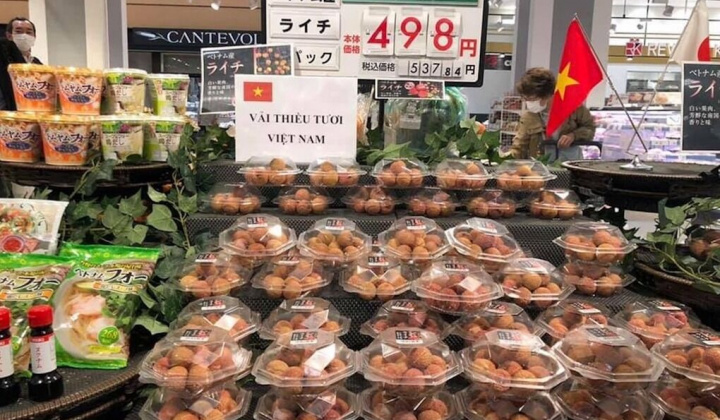 Vải tươi Việt Nam lần đầu lên kệ siêu thị Nhật