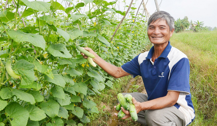 Ứng dụng khoa học - công nghệ để phát triển bền vững