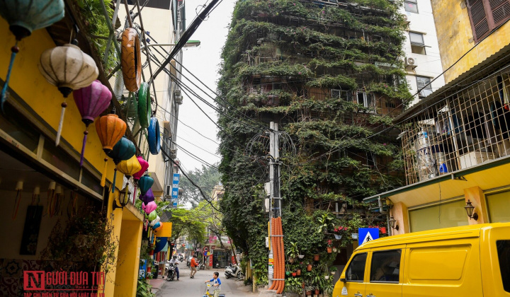 Độc đáo cây hoa giấy bọc kín ngôi nhà 5 tầng giữa lòng Thủ đô