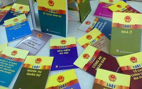 Thủ tướng phân công soạn thảo các dự án luật