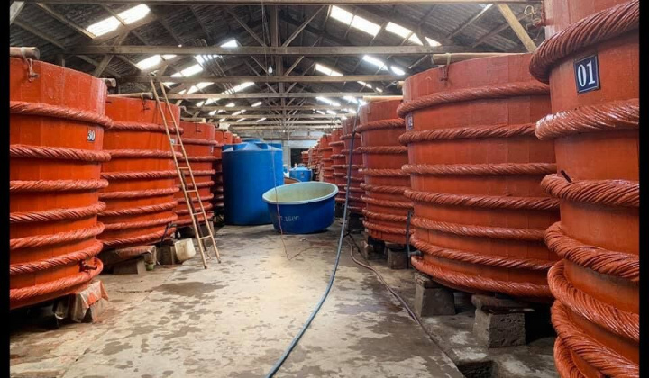 Nước mắm Phú Quốc: Đủ đậm đà, dư giả thanh tao
