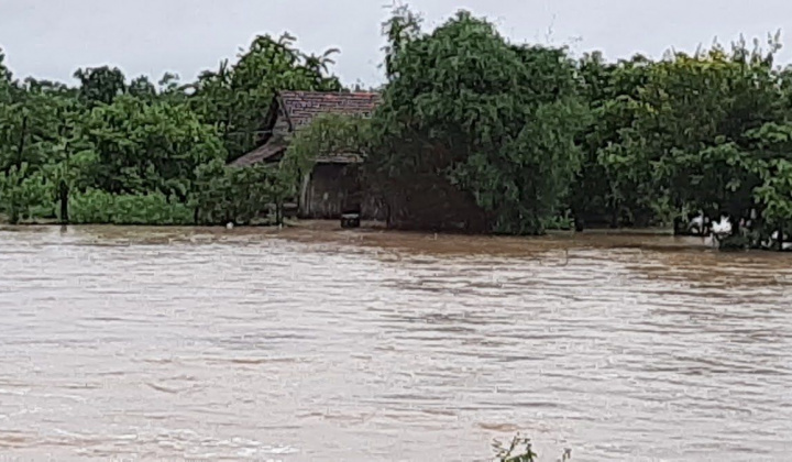 Đắk Lắk: Mưa lớn kéo dài, nhiều địa phương ngập trong biển nước