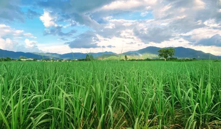 Xã Cư Prông (Eakar- Đắk Lắk): Điểm sáng trên cao nguyên