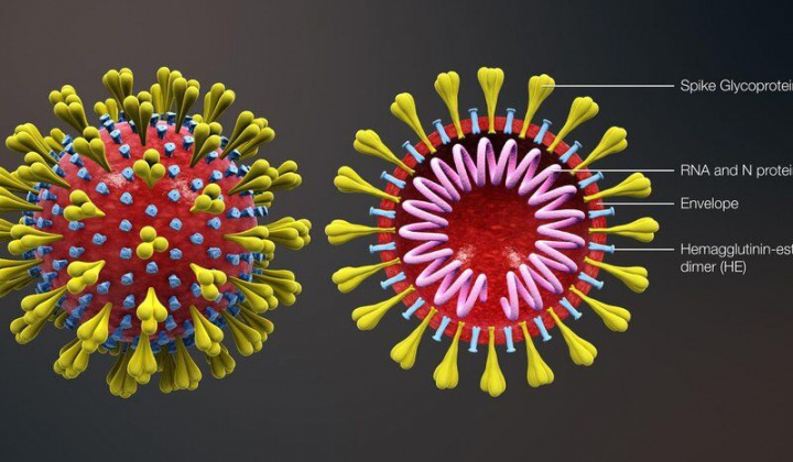 Hướng dẫn phòng chống Virus Corona - Covid 19