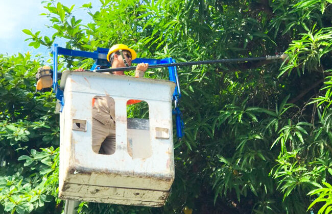 PC Thái Bình tăng cường các biện pháp đảm bảo an toàn lưới điện mùa mưa bão