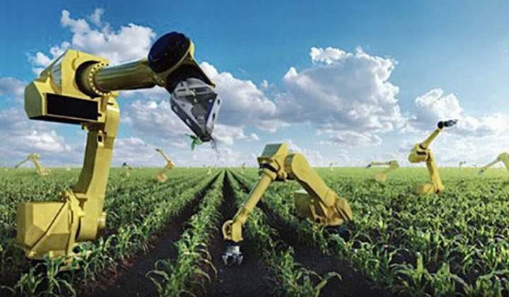 Nghiên cứu, ứng dụng khoa học - công nghệ phục vụ phát triển nông nghiệp hiện đại, bền vững