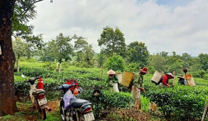 Chư Prông: Khởi sắc ở một huyện vùng biên giới
