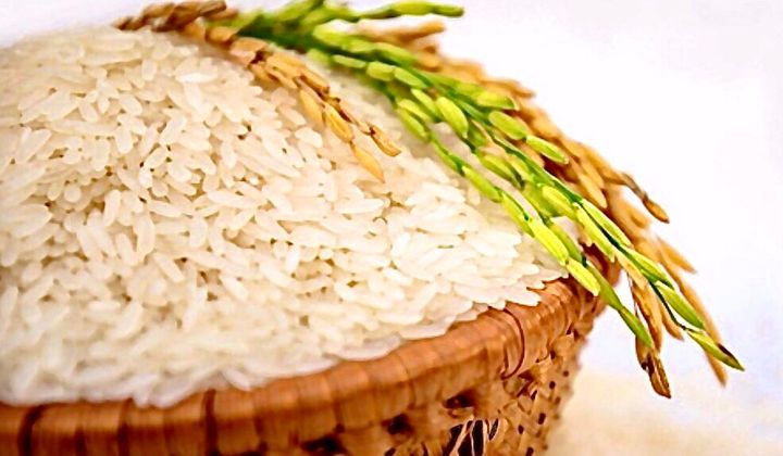 Nâng cao chất lượng để gạo Việt Nam chiếm lĩnh các thị trường