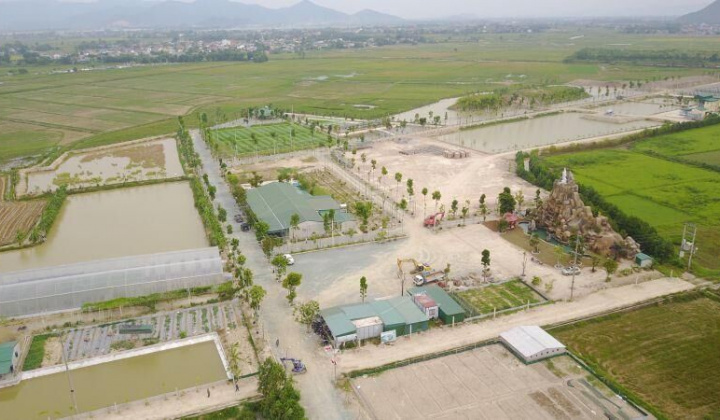 Synot Asean và Tổng giám đốc Nguyễn Như Ý: Cần một sự đồng hành vượt khó