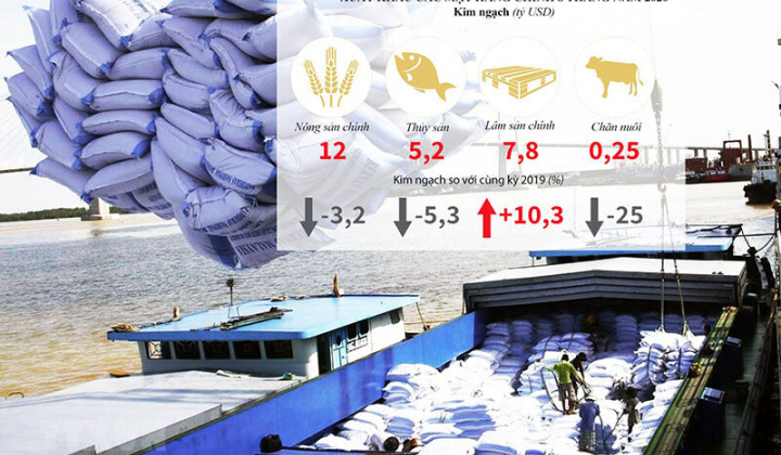 Nông sản Việt tiến vào "đường cao tốc" EVFTA