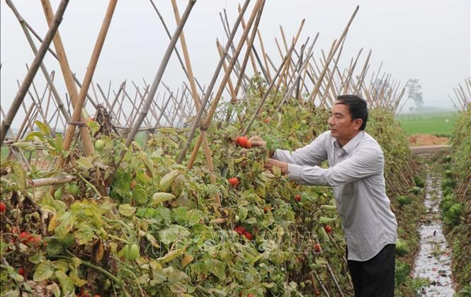Bắc Ninh: Đổi mới, hoạt động hiệu quả và phát triển Quỹ Hỗ trợ nông dân