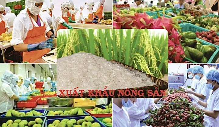 Không để lỡ nhịp tăng trưởng xuất khẩu nông sản