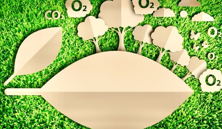 Bảo vệ môi trường gắn liền với mục tiêu phát triển bền vững