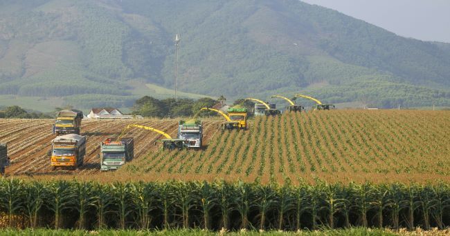 Giải thưởng Chất lượng quốc tế vinh danh nhà sản xuất sữa tươi sạch từ đồng đất Việt