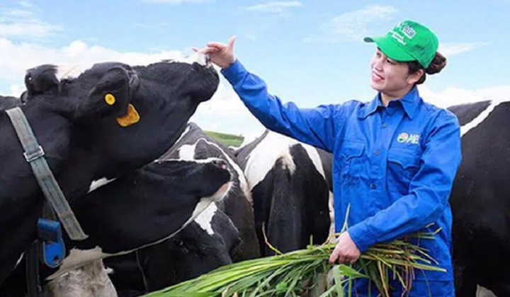 GTNFoods (GTN) bị xử phạt 70 triệu vì chậm công bố thông tin