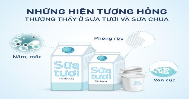 Bảo quản sữa tươi, sữa chua đúng cách – Điều đơn giản nhưng nhiều người bỏ qua