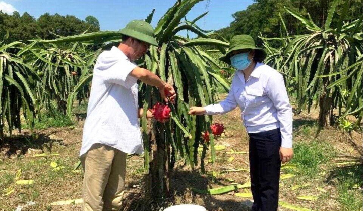 Quảng Ninh: Phát triển nông nghiệp theo hướng hiện đại, bền vững