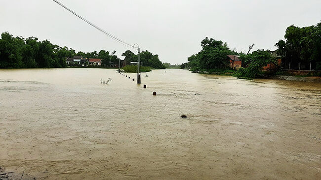 Bình Định: Mưa lớn gây ngập úng cục bộ tại nhiều địa phương