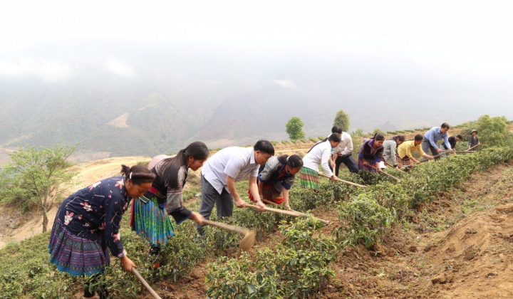 Lai Châu: Tập trung phát triển thế mạnh nông - lâm nghiệp