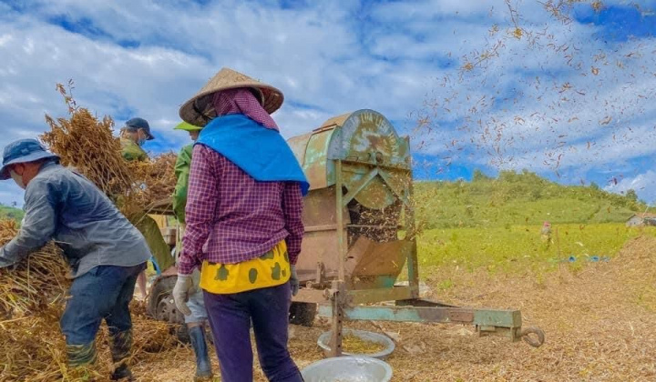 Ngân hàng CSXH Đắk Nông: “Đồng hành phát triển kinh tế vùng đồng bào DTTS”