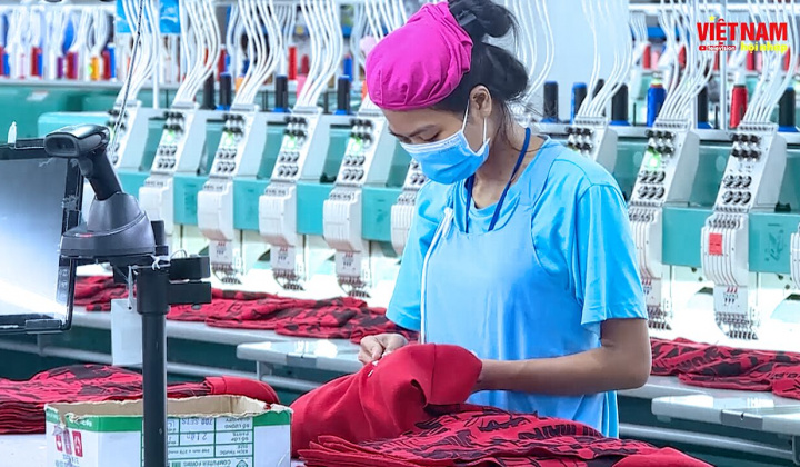 BẢN TIN VIỆT NAM HỘI NHẬP (Tuần cuối tháng 10/2021)