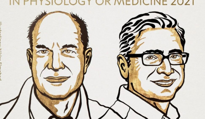Nobel Y Học 2021 vinh danh hai nhà khoa học Mỹ