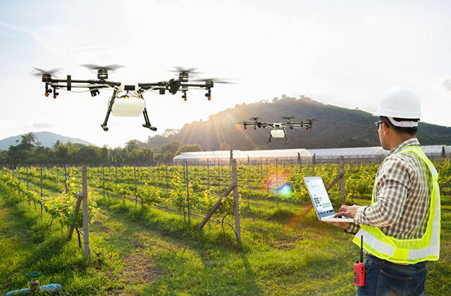 Chuyển đổi số trong các HTX nông nghiệp ở Ninh Bình