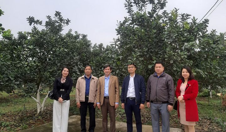 Ứng dụng công nghệ 4.0 đưa HTX lên tầm cao mới