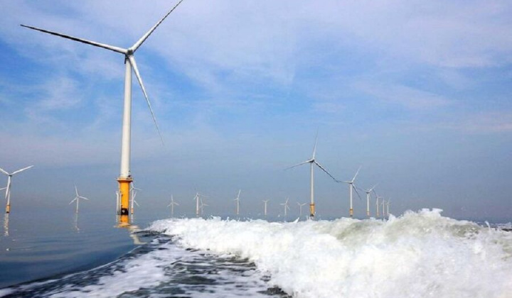 Bamboo Capital (BCG) muốn huy động 500 tỷ đồng trái phiếu "ba không"