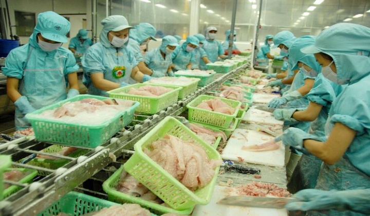 Cổ phiếu lập đỉnh mới khi thị trường xuất khẩu thủy sản phục hồi ấn tượng