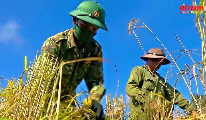 BẢN TIN VIỆT NAM HỘI NHẬP (Tuần 4 tháng 11/2021)