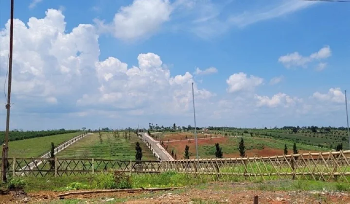Lâm Đồng ra quy định mới về tách thửa đất để ngăn phân lô bán nền tràn lan