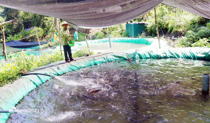 Láo Vàng - Điểm sáng vùng cao Tây Bắc