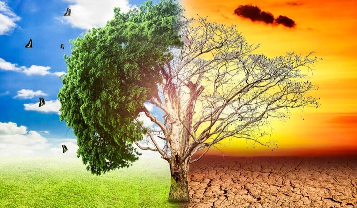Việt Nam ứng phó với biến đổi khí hậu: Những mặt tích cực và hạn chế