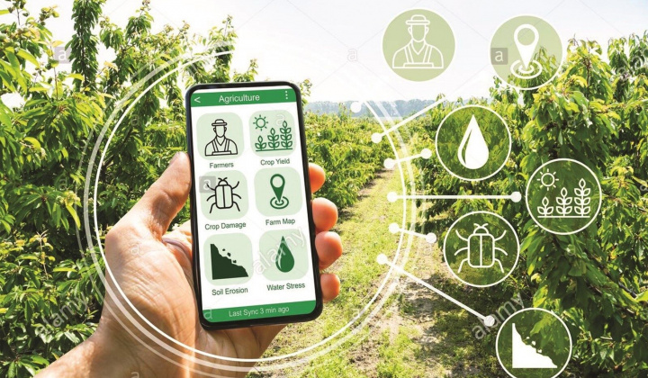 Chuyển đổi số nông nghiệp: Cần có những giải pháp thực tế chứ không chờ làm mới rút kinh nghiệm