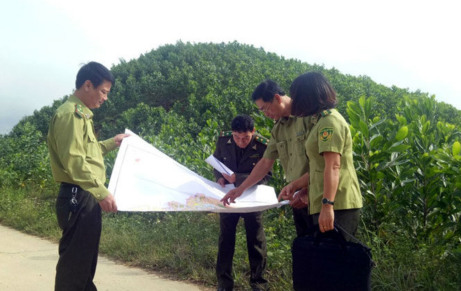 Quỹ bảo vệ và phát triển rừng tỉnh Thái Nguyên triển khai thực hiện chính sách chi trả dịch vụ môi trường rừng